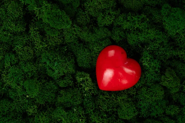 Coração vermelho no musgo — Fotografia de Stock