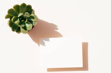 Yaz kırtasiyesi taklit sahnesi.