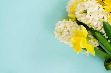 Sümbül ve nergisler