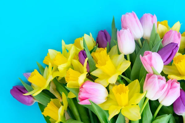 Tulipány a narcisy květiny — Stock fotografie