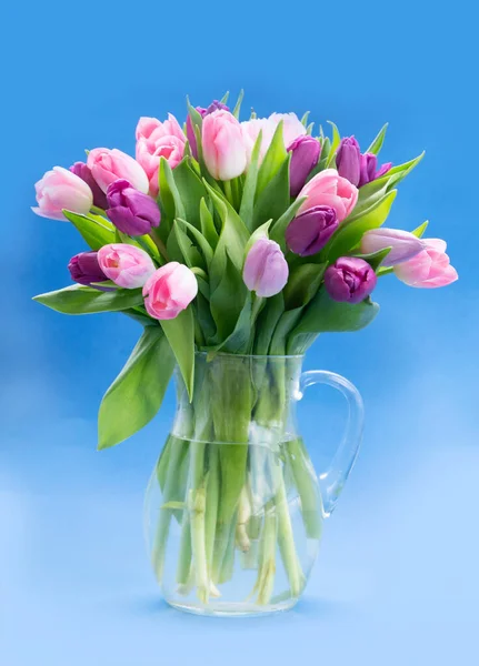 Pink and violet tulips flowers — Stock Photo, Image