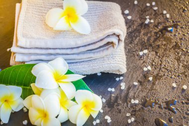 Spa ve sağlık seti