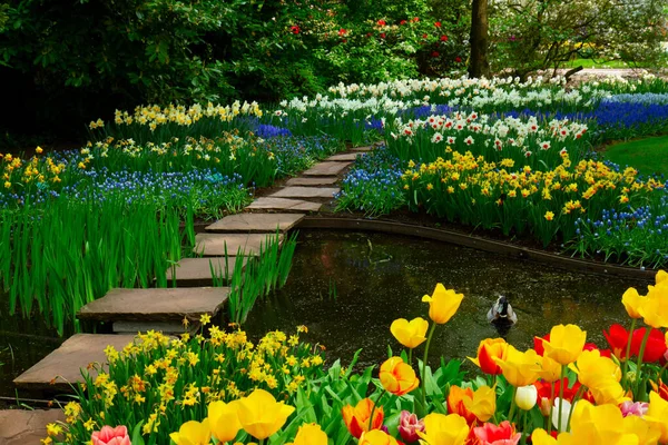 Uroczysty ogród wiosenny — Zdjęcie stockowe