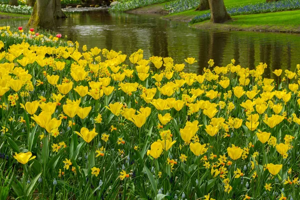 Estanque de primavera en el parque — Foto de Stock