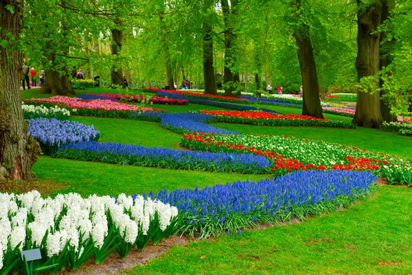 Césped fresco con flores — Foto de Stock