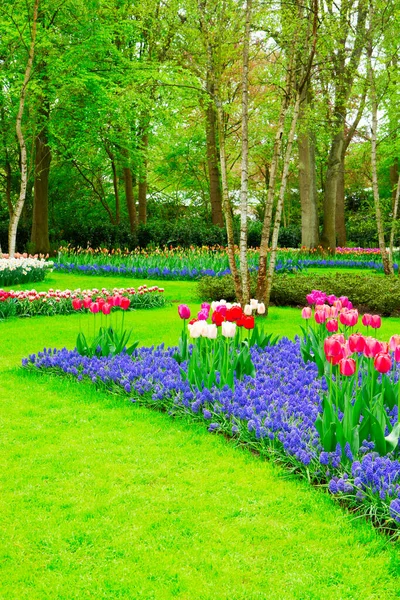 Свежий газон с цветами — стоковое фото