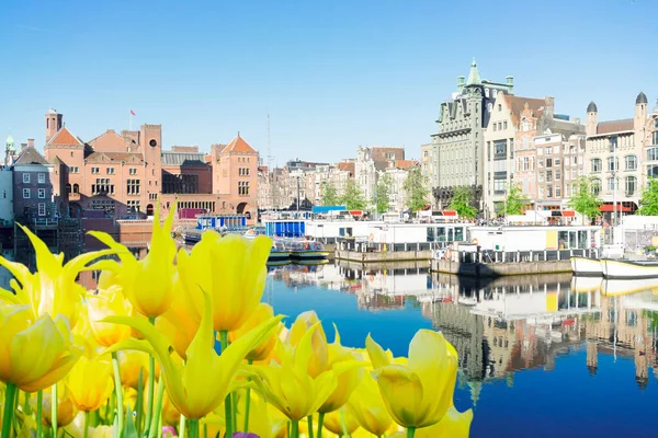 Casas de Amsterdam, Países Bajos —  Fotos de Stock