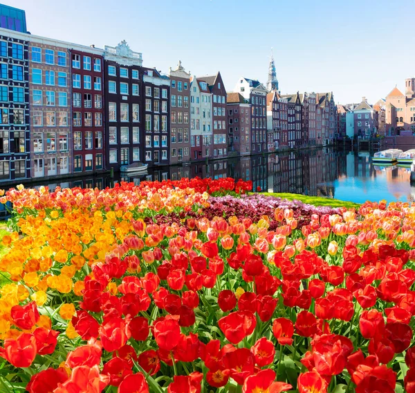 Casas de Amsterdam, Países Bajos — Foto de Stock