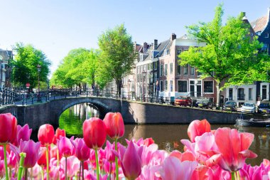 Hollanda, Amstardam 'ın Evleri