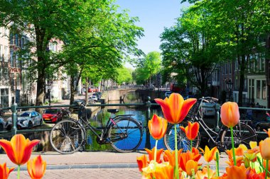 Amsterdam Kanalı 'nın yanında turuncu bisiklet