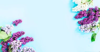 Taze leylak çiçekleri