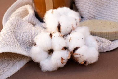 Kahverengi üzerine pamuk tomurcukları