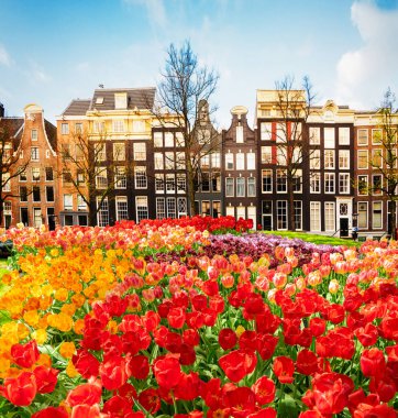 Hollanda, Amstardam 'ın Evleri