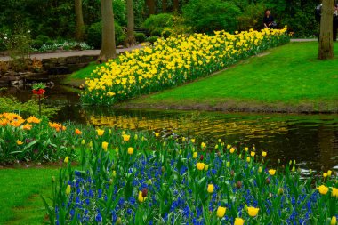 Parktaki bahar göleti