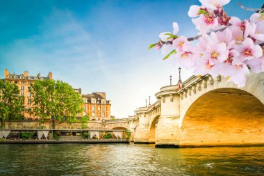 Alexandre Köprüsü III, Paris, Fransa