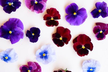 Homoseksüellerin stili