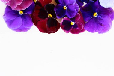 Homoseksüellerin stili