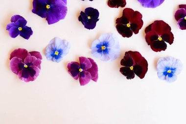 Homoseksüellerin stili