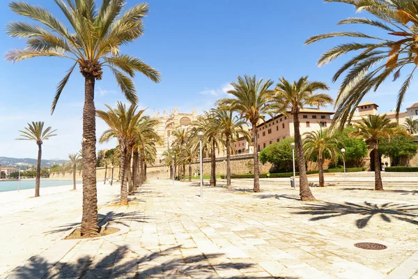 Palma de Majorca，SPain — 图库照片