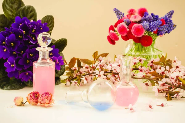 Aromatherapie - droge bloemen en drankjes — Stockfoto