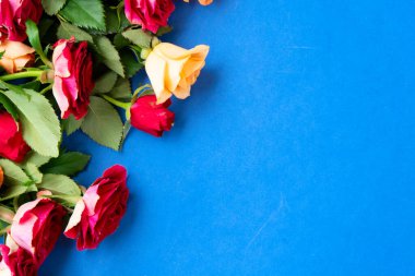 turuncu ve kırmızı güller