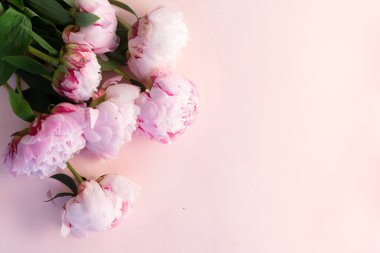 Taze şakayık çiçekleri