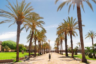 Palma de Majorca, İspanya