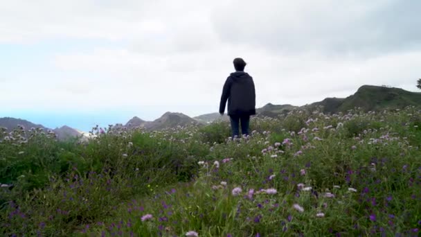 Jovem caminhante do sexo masculino viajando em montanhas — Vídeo de Stock