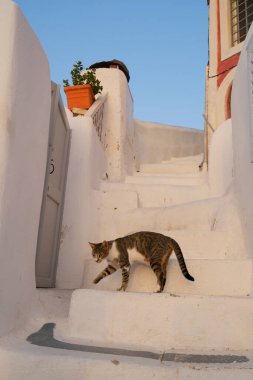 Yunanistan 'ın Santorini adası hakkında güzel detaylar