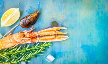 Mavi arka planda taze deniz ürünleri