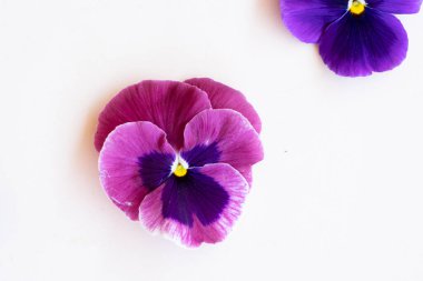 Homoseksüellerin stili