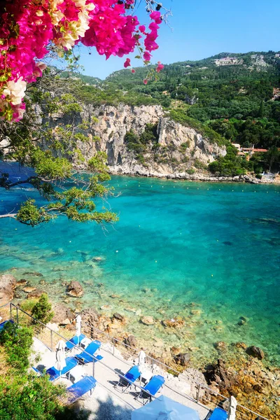 希腊科孚的古奥卡斯特里察海滩湾 有鲜花和爱奥尼亚海清水 — 图库照片