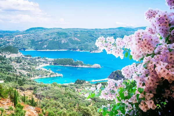 Paleokastritsa Spiaggia Baia Korfu Grecia Con Fiori — Foto Stock