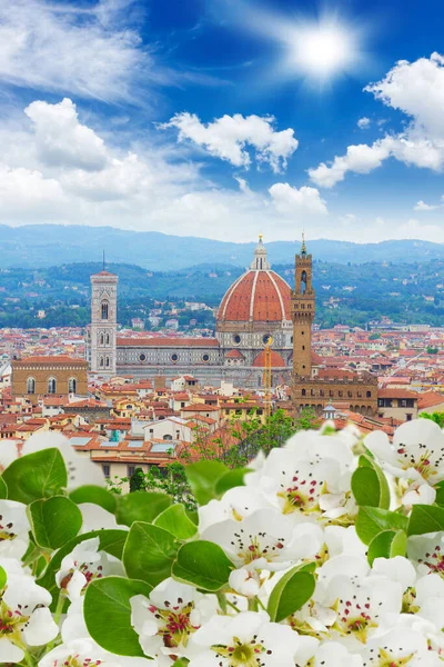 Kathedralkirche Santa Maria Del Fiore Über Der Altstadt Von Florenz — Stockfoto