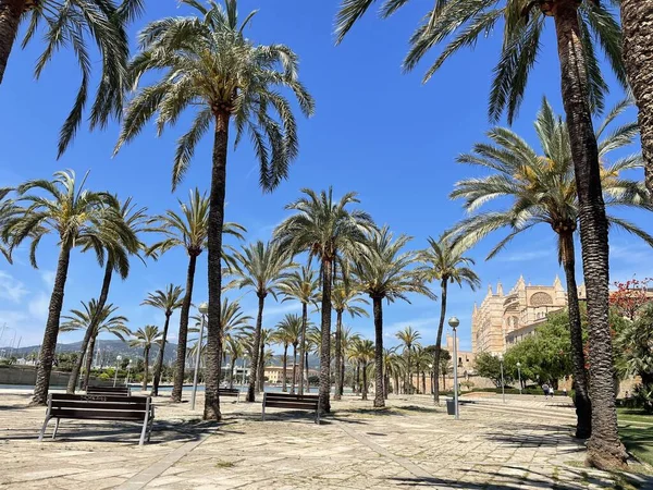 Palma de Majorca，SPain — 图库照片