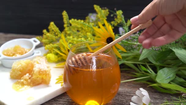 Madu segar dengan sarang madu — Stok Video