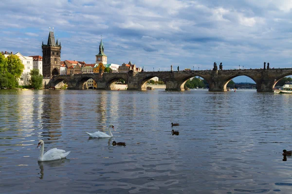 Charles bridge over river Vltava — Stock Photo, Image