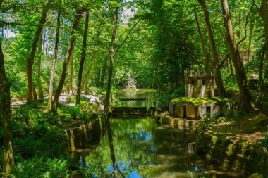 bahçeler pena, sintra, Portekiz