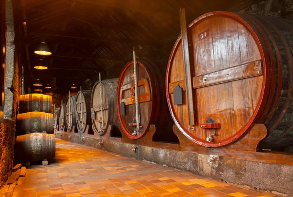 Cellar with wine barrels — Stock Photo, Image