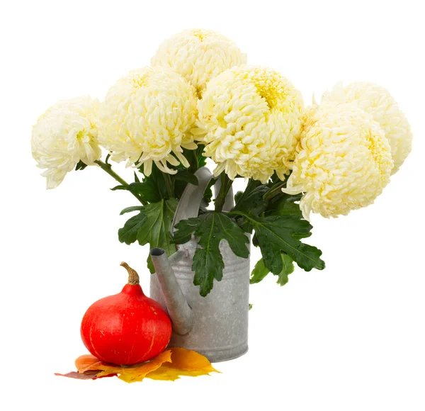 Bunch of yellow mums in watering can — Stock Photo, Image