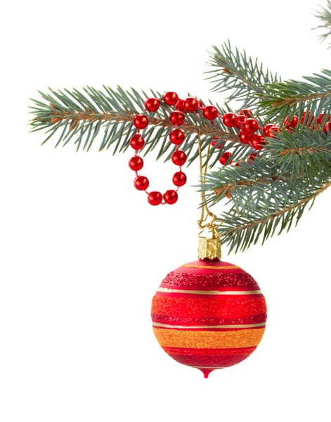 Red christmas decorations   on fir tree — Stock Photo, Image