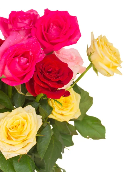 Bouquet of fresh multicolored  roses — Stock Photo, Image