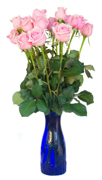 Bund frischer rosa Rosen auf weißem Grund — Stockfoto