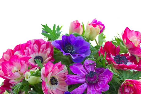 아 네모 네 꽃 테두리 — 스톡 사진