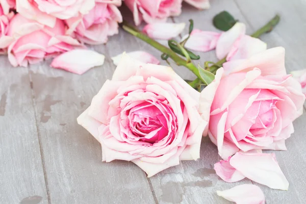 Pink  roses  on table — Stock Photo, Image