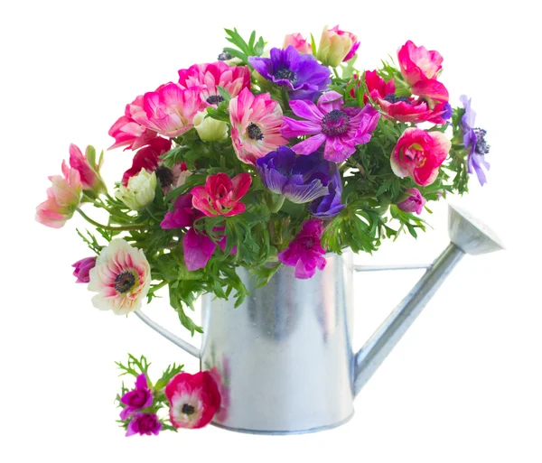 Bunch of anemone flowers — Stock Photo, Image