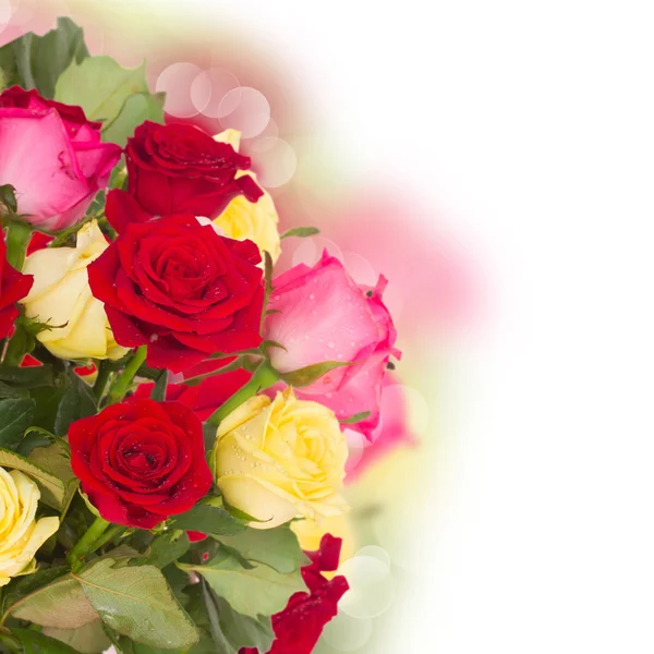 Kytice čerstvých různobarevné růží — Stock fotografie