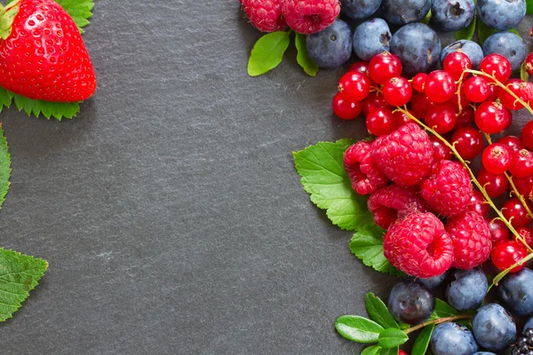 Рамка из свежих ягод — стоковое фото