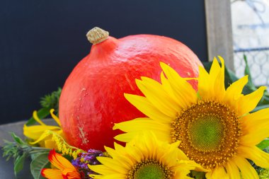 sonbahar ayçiçeği balkabağı ile