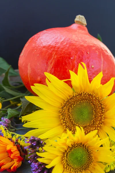 Fall sunflowers with pumpkin — Stock Photo, Image